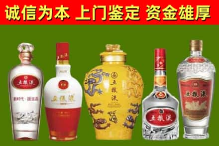 彭泽县烟酒回收五粮液系列.jpg